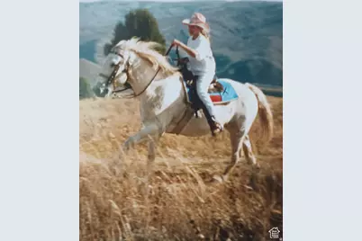 3388 N Oak Cyn #527, Huntsville, UT 84317 - Photo 1