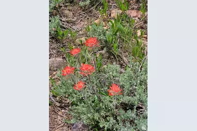 3388 N Oak Cyn #527, Huntsville, UT 84317 - Photo 20
