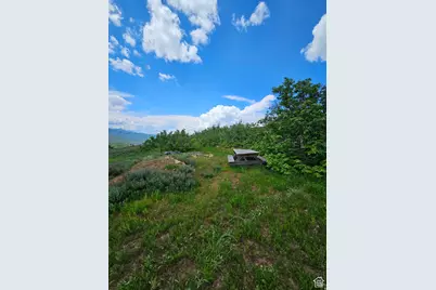 3388 N Oak Cyn #527, Huntsville, UT 84317 - Photo 4