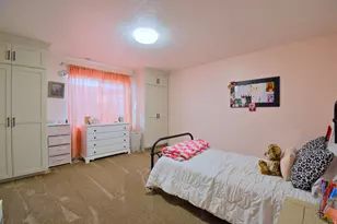 488 S 250 W, Fountain Green, UT 84632 - Photo 38