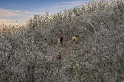 1980 Lower Cove Rd #61, Park City, UT 84098 - Photo 30