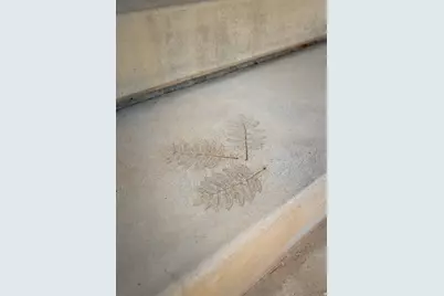 4491 N 3000 W, Roosevelt, UT 84066 - Photo 6