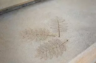 4491 N 3000 W, Roosevelt, UT 84066 - Photo 6