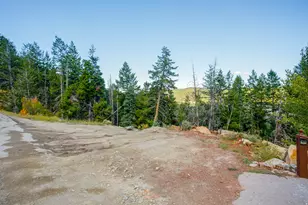 390 Matterhorn Dr, Summit Park, UT 84098 - Photo 38