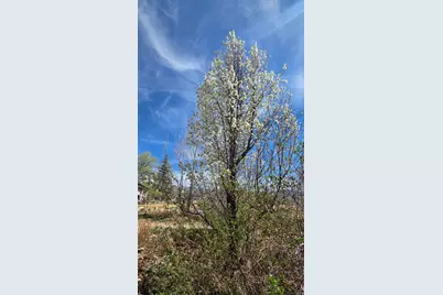 430 E 100 N, Mount Pleasant, UT 84647 - Photo 40