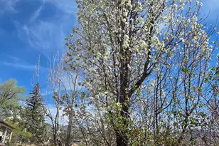 430 E 100 N, Mount Pleasant, UT 84647 - Photo 40