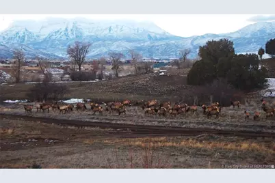 470 S Lindsay Spring Rd, Heber City, UT 84032 - Photo 62