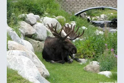 12090 Big Cottonwood Rd E #303, Solitude, UT 84121 - Photo 22