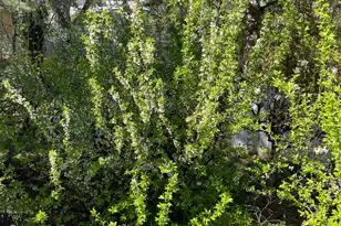 4620 S Namba Way E, Millcreek, UT 84107 - Photo 32