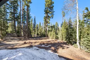 55 E Forest Dr, Duck Creek Village, UT 84762 - Photo 48