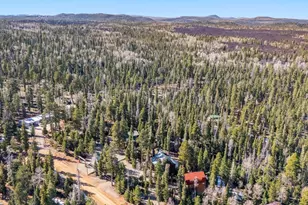 55 E Forest Dr, Duck Creek Village, UT 84762 - Photo 54