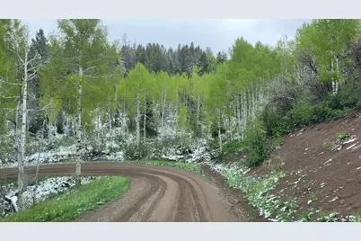 17029 S Alta Dr, Spanish Fork, UT 84660 - Photo 82