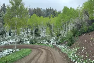 17029 S Alta Dr, Spanish Fork, UT 84660 - Photo 82