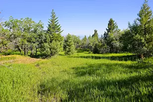 2 Whispering Pines Rd, Mount Pleasant, UT 84647 - Photo 1