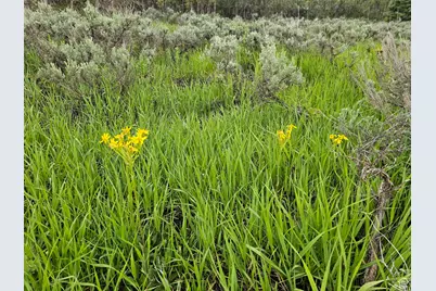 3 Whispering Pines Rd #3, Mount Pleasant, UT 84647 - Photo 4