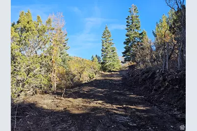 17 Pine Crest Dr, Mount Pleasant, UT 84647 - Photo 8