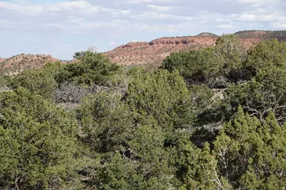 1115 E Donkey Flats Rd, Teasdale, UT 84773 - Photo 10