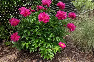 1364 W 600 S, Salt Lake City, UT 84104 - Photo 16