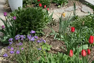 1445 W Silvercreek Dr S, Layton, UT 84041 - Photo 40