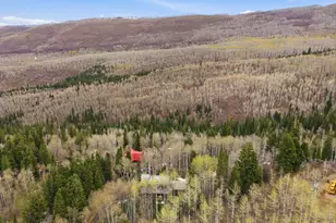 3191 S Forget Me Not Ln, Heber City, UT 84032 - Photo 42