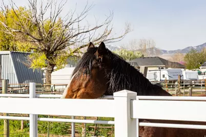 7737 S 5200 W, West Jordan, UT 84081 - Photo 42
