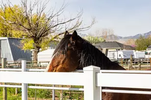 7737 S 5200 W, West Jordan, UT 84081 - Photo 42