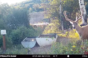 28 Moose Horn Rd, Coalville, UT 84017 - Photo 20