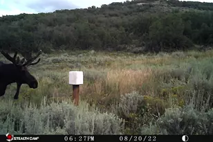 28 Moose Horn Rd, Coalville, UT 84017 - Photo 22
