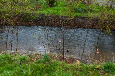 4770 S 700 E #141, Murray, UT 84107 - Photo 16