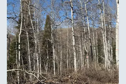 5209 White Pine Cir #545, Oakley, UT 84055 - Photo 18