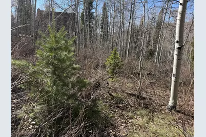 5209 White Pine Cir #545, Oakley, UT 84055 - Photo 22