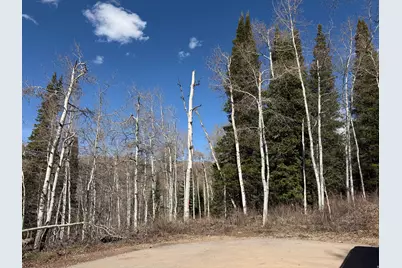 5209 White Pine Cir #545, Oakley, UT 84055 - Photo 4