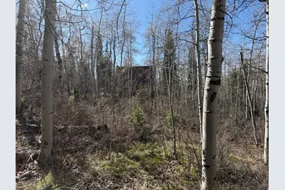 5209 White Pine Cir #545, Oakley, UT 84055 - Photo 24