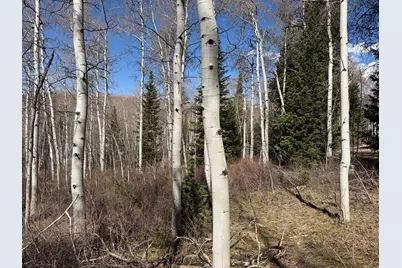 5209 White Pine Cir #545, Oakley, UT 84055 - Photo 2