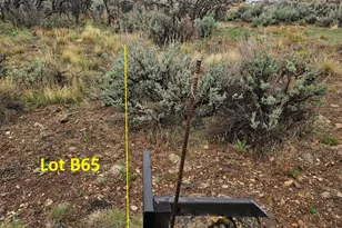 Lot #B65 Spring Creek Dr, Fairview, UT 84629 - Photo 20