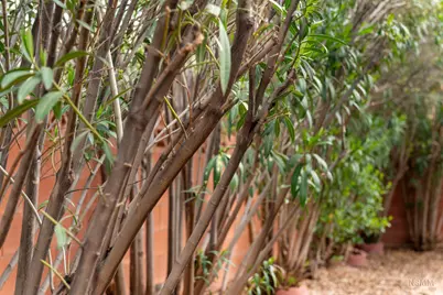 53 E Cyndi Ln N, La Verkin, UT 84745 - Photo 34