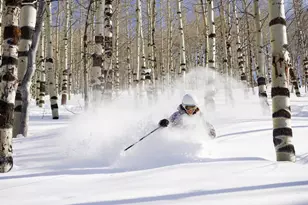 8495 E Cobabe Ct, Eden, UT 84310 - Photo 30