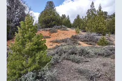 [Address not provided], Alton, UT 84710 - Photo 4