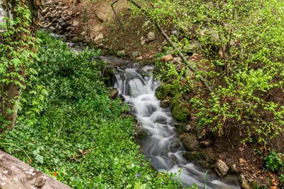 4630 S Naniloa Dr, Holladay, UT 84117 - Photo 20