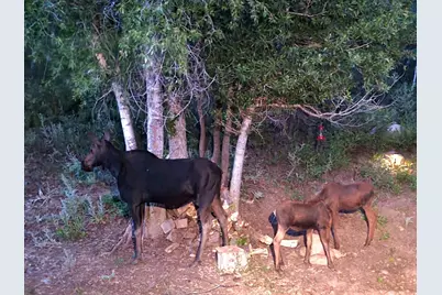 11607 Middle Fork Dr #SR16, Huntsville, UT 84317 - Photo 6