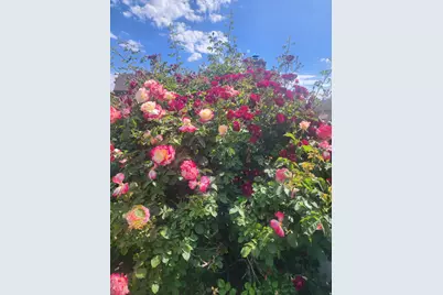 5061 S 3500 W, Roy, UT 84067 - Photo 50