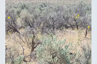 [Address not provided], Rush Valley, UT 84069 - Photo 6