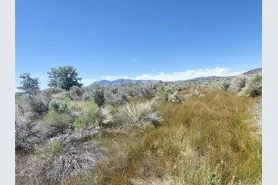 [Address not provided], Rush Valley, UT 84069 - Photo 4