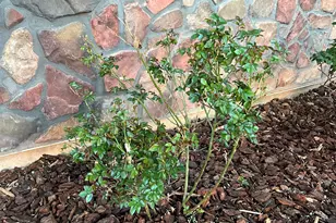 78 E 1875 S, Roosevelt, UT 84066 - Photo 54