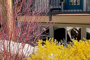 3612 N Huntsman Path, Eden, UT 84310 - Photo 34