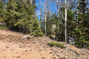 590 W Kokapelli, Brian Head, UT 84719 - Photo 1