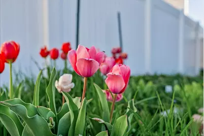 3580 S Clearwater Way, Syracuse, UT 84075 - Photo 42