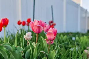 3580 S Clearwater Way, Syracuse, UT 84075 - Photo 42