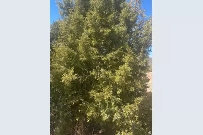 39775 W 6820 S, Fruitland, UT 84027 - Photo 70