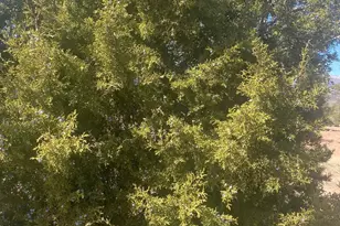 39775 W 6820 S, Fruitland, UT 84027 - Photo 70